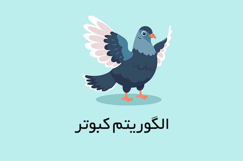 الگوریتم کبوتر گوگل